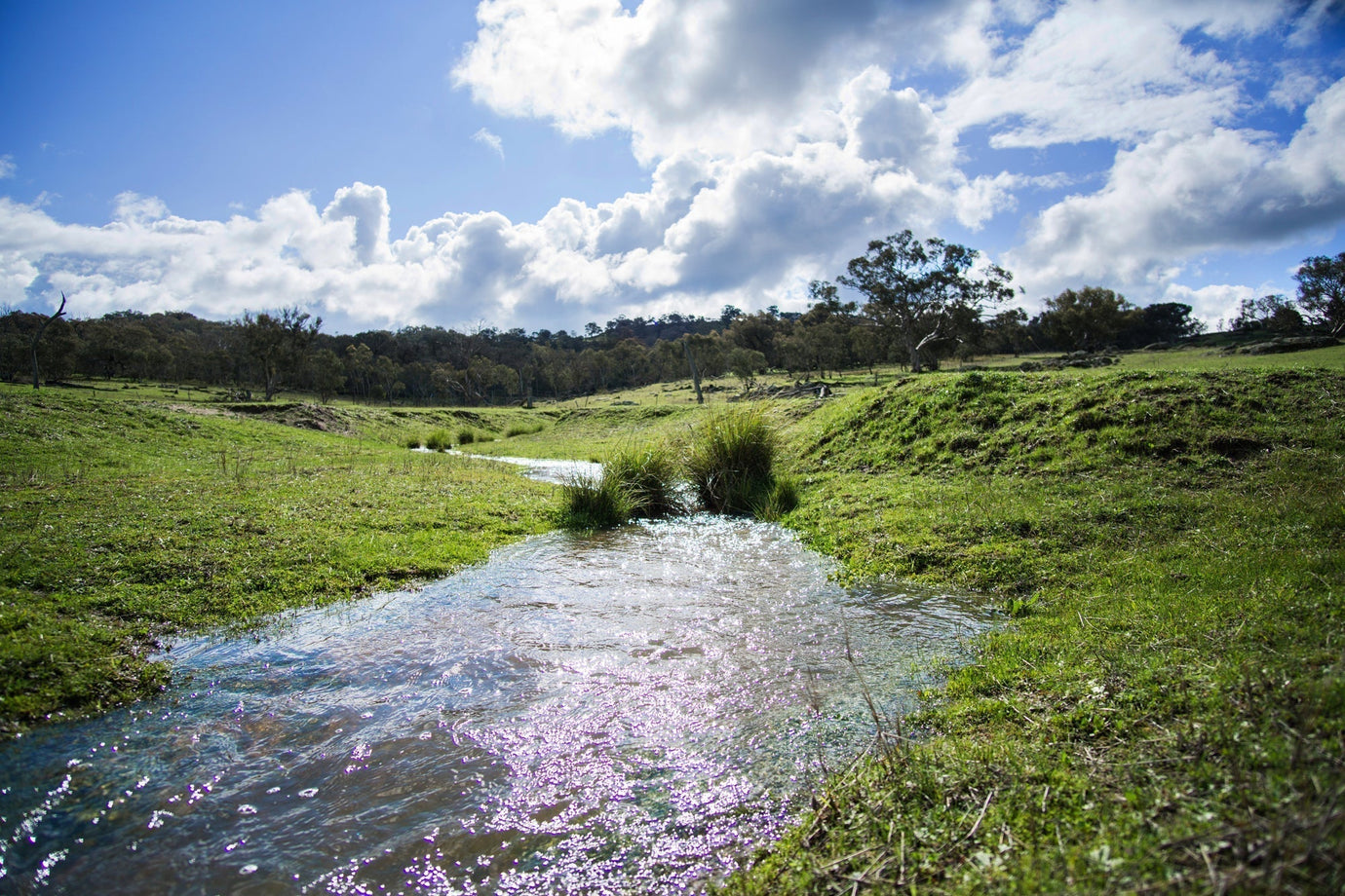 What is Spring Water?