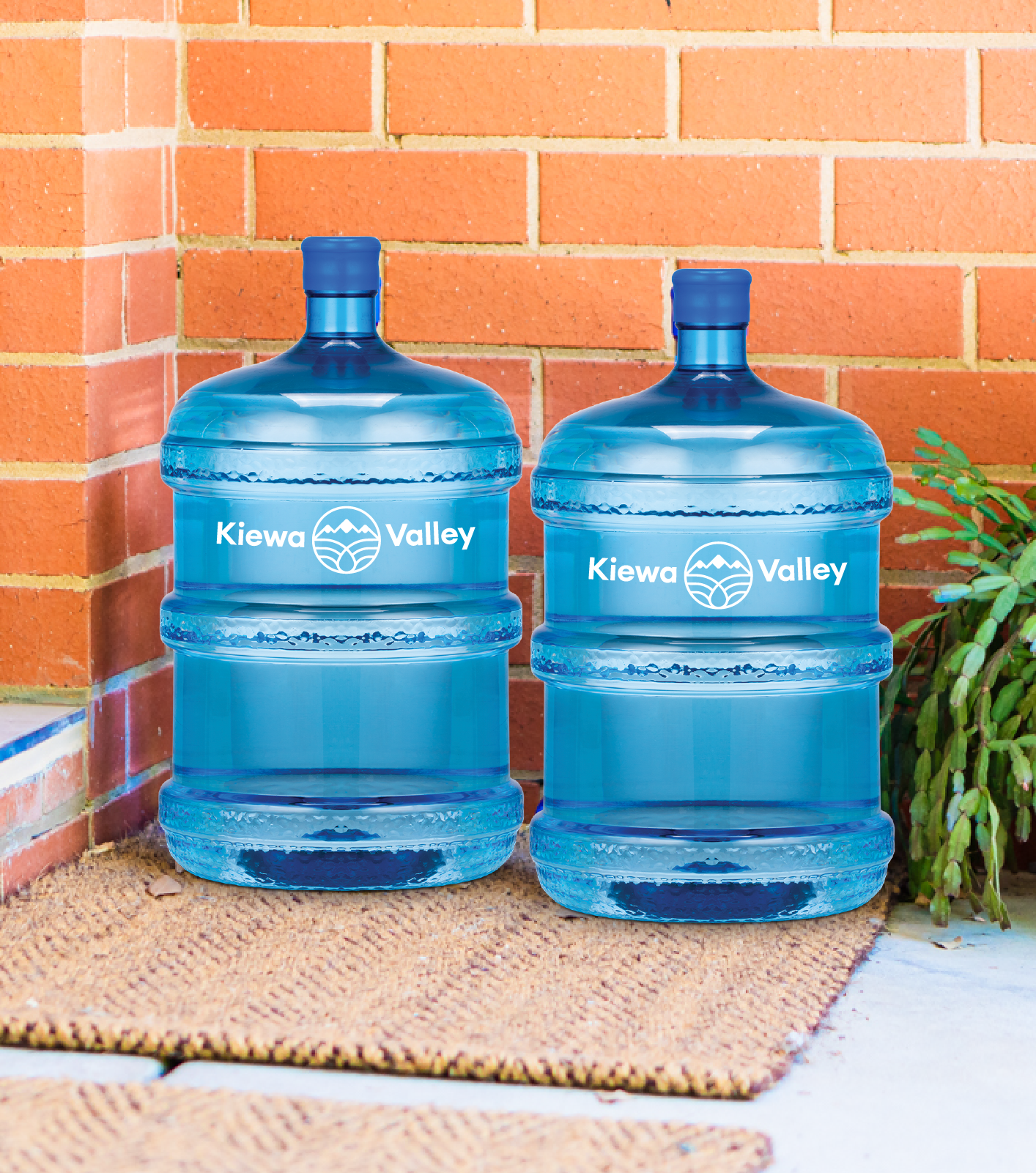 Why should I drink Kiewa Valley Water?